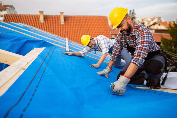 Steel Roofing in White Bear Lake, MN